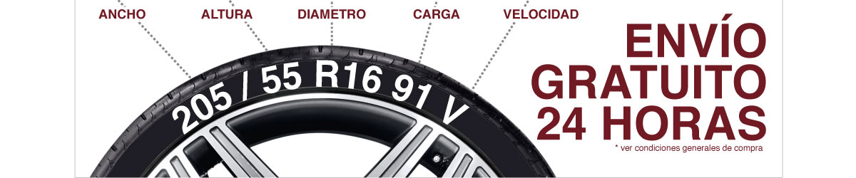 Neumático 205/55R16 91V TURANZA T005 BRIDGESTONE - Neumaticos Rodex Vigo